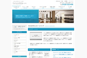 �T���v��