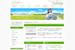 �T���v��